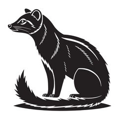 black civet Silhouette Vector, High Quality Illustration on White Background