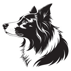 Fototapeta premium black border collie dog Silhouette Vector, High Quality Illustration on White Background