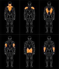 sportman_back_oben_b