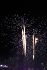 fireworks in the night sky