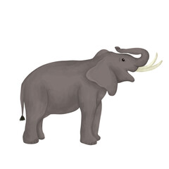 Fototapeta premium Cute Elephant Illustration