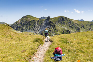 Fototapeta premium trekking with a dog in hogh mountains