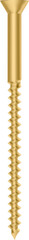Realistic golden screw standing prominently on a transparent background, showcasing a striking visual representation of hardware, construction, and precision engineering elements