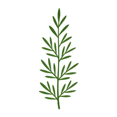 Fototapeta premium Green leafy branch showcasing nature's intricate patterns and designs
