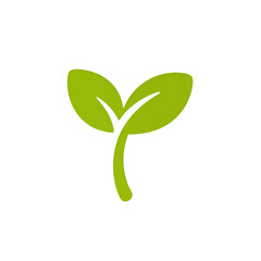 Fototapeta premium Elegant green sprout symbolizing growth and new beginnings