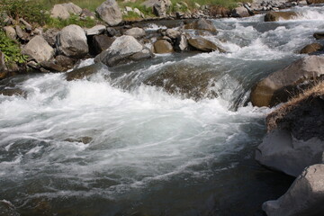 Fototapeta premium waterfall in the forest