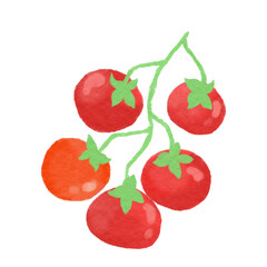 Naklejka premium watercolor tomatoes