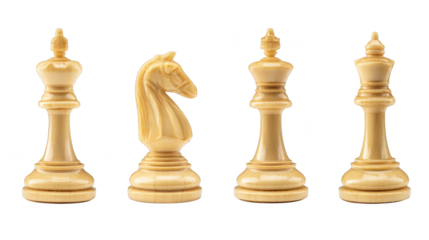 Strategic placement of the powerful king the versatile queen and the humble pawn on a checkered battlefield illustrating concepts of power strategy and intellectual challenge in the game of chess.