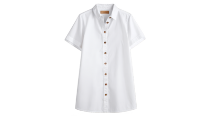 A classic and versatile white button down shirt dress with a sharp collar long sleeves and a clean minimalist aesthetic suitable for various occasions and personal styles.
