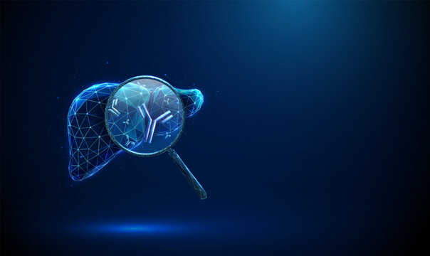 Liver with magnifying glass showing antibodies inside. Viral, autoimmune liver disease detection, serological testing, immune response analysis concept.