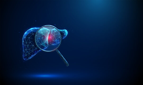 Liver with magnifying glass highlighting red spot. Liver inflammation, disease detection, diagnostic testing, medical analysis concept. Low poly digital futuristic style, wireframe structure. Vector.