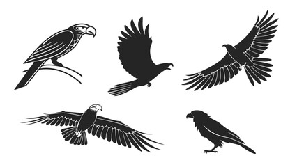 Obraz premium Background Solid Gray Vector SVG Design Minimalist Plain Aesthetic for Digital Projects