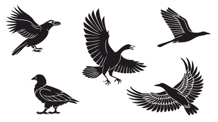 Obraz premium Vector Blank SVG Background Element Minimalist Monochrome Gray for Digital Design