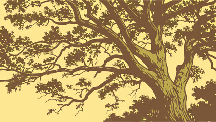 Stylized illustration of a large oak tree viewed from below showcasing its thick trunk and sprawling branches with detailed foliage.