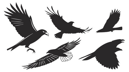 Obraz premium Vector Minimalist SVG Icon Design of a Simple Circle Shape in White Flat Design Style