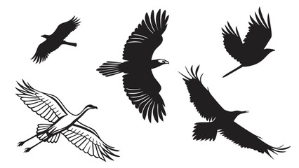 Obraz premium Minimalist Vector SVG Background Design in Plain White