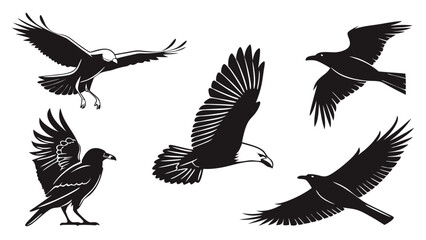 Obraz premium Blank White Square SVG Vector Background with Scalable Design