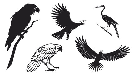 Obraz premium Blank White Vector SVG Design for Simple Layouts and Mockups