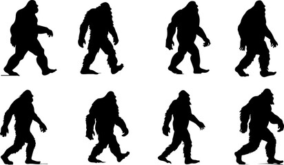 Silhouettes of Sasquatch: A Walk Through Myth and Mystery