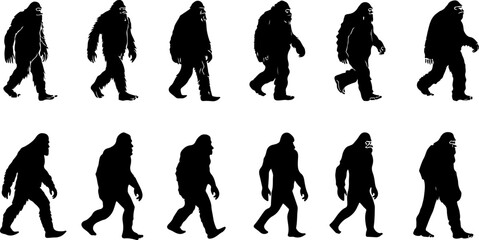 Silhouettes of Sasquatch: A Walk Through Myth and Mystery