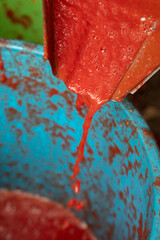 From Tomato to Sauce Bottle The Italian Production Process