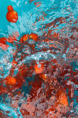 From Tomato to Sauce Bottle The Italian Production Process