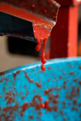 From Tomato to Sauce Bottle The Italian Production Process