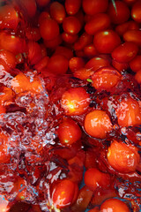 From Tomato to Sauce Bottle The Italian Production Process