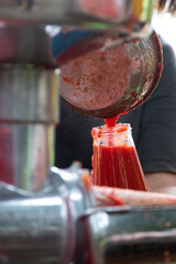 From Tomato to Sauce Bottle The Italian Production Process