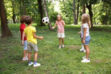 Fototapeta premium Cute little kids playing with soccer ball in park