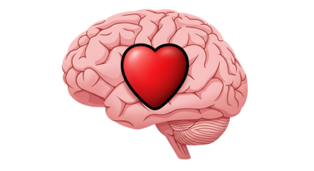 Human brain model with a red heart overlay represents emotional intelligence for advertising.