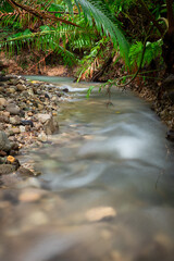 A small river in a tropical forest with a soft cotton-colored water flow.