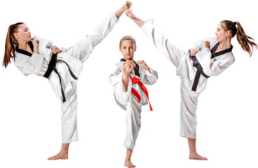 Young martial arts students kicking in unison with central athlete striking forward pose. Concept of taekwondo performance, youth sports campaigns, and discipline branding. Transparent background.