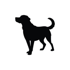 A dog, dog silhouette, black dog design.