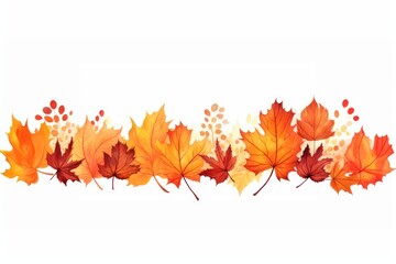 Fall leaves maple plant leaf.