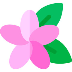 Frangipani Flower Icon