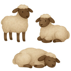 Vector Watercolor sheep illustration for Nativity Christmas scenes. Perfect for Christian art, manger sets, cards, posters, and holiday decorations.