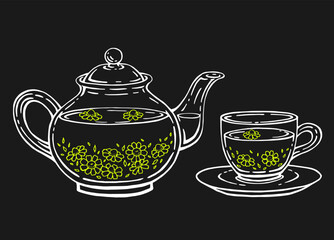 Tea set with healthy green tea, chamomile. Teapot and cup. Hand drawn vector illustration.