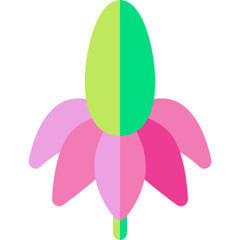 Mexican Hat Flower Plant