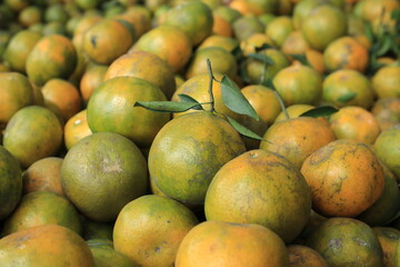 fresh oranges on the market