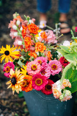 Colorful Flowers as Decoration