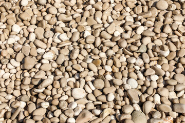 Smooth beige and white pebbles densely cover the ground on a pebble beach under natural sunlight, creating a textured and calming background perfect for nature-themed or coastal projects.