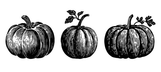 Three pumpkin linocut illustrations showcasing unique shapes, textures, and details, perfect for autumn-themed decor.