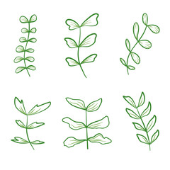 Set of hand drawn green leaves, plant icon set, leaves simple design. botanical line drawing style.