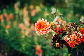 Colorful Flowers as Decoration