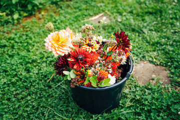 Naklejka premium Colorful Flowers as Decoration