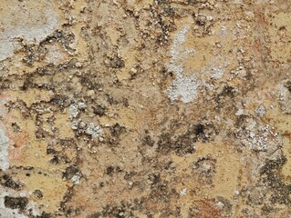 Close up grunge old wall weathered texture background