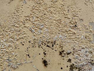 Close up grunge old wall weathered texture background