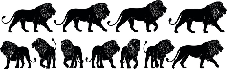 Lion silhouettes in walking poses, black and white vector illustration, majestic animal design, wildlife concept, nature art, feline motion