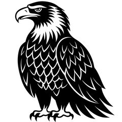 Bald Eagle vector Silhouette on white background 